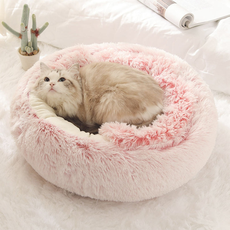 Round Cat Beds 