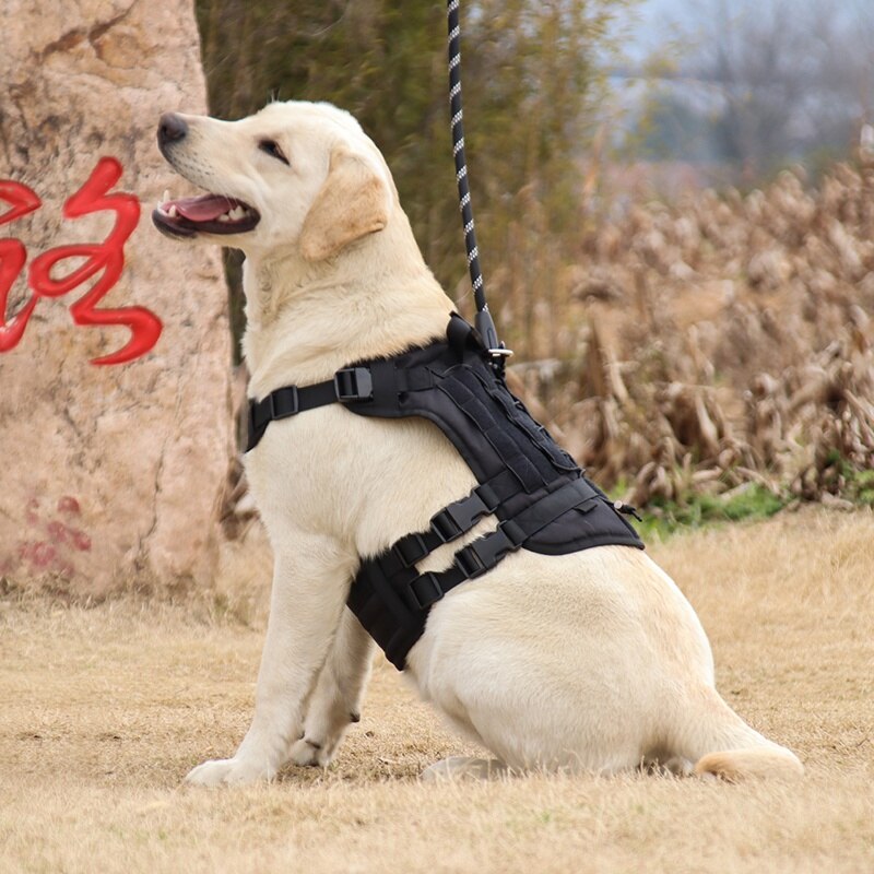 Pet Vest Harness, Adjustable Pet Vest Harness