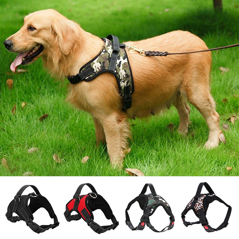 Dog Harness Collar, Adjustable Big Dog Harness Collar