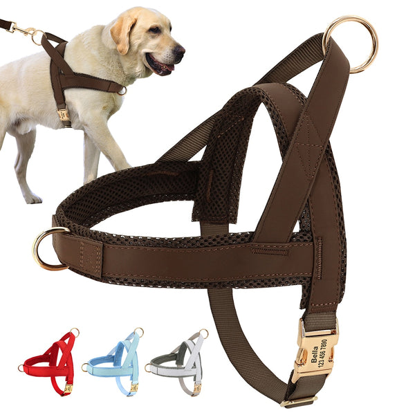Personalized Dog Harness, Personalized Dog Harness No Pull Dog Harnesses